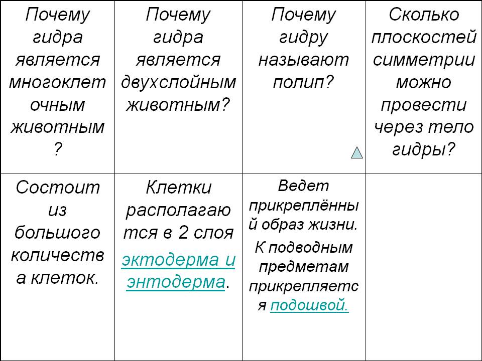 Омг омг ссылка телеграм