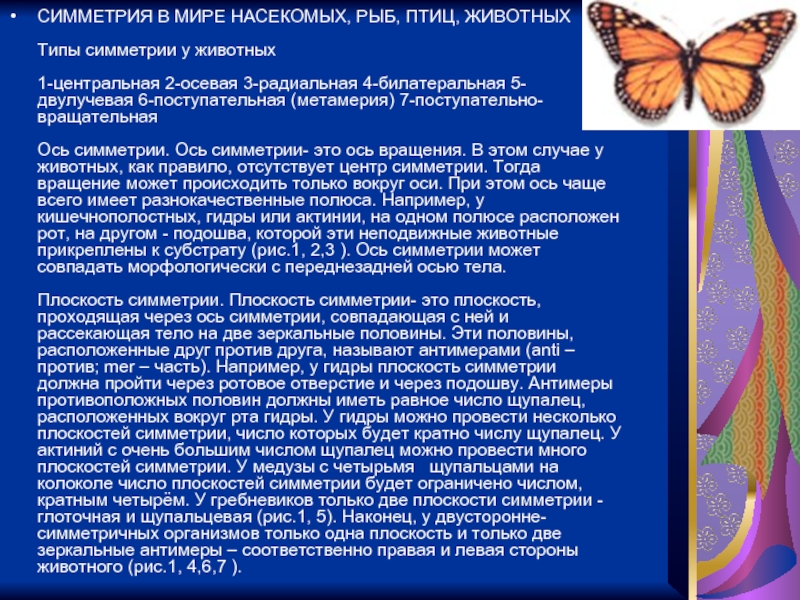 Omg зеркало